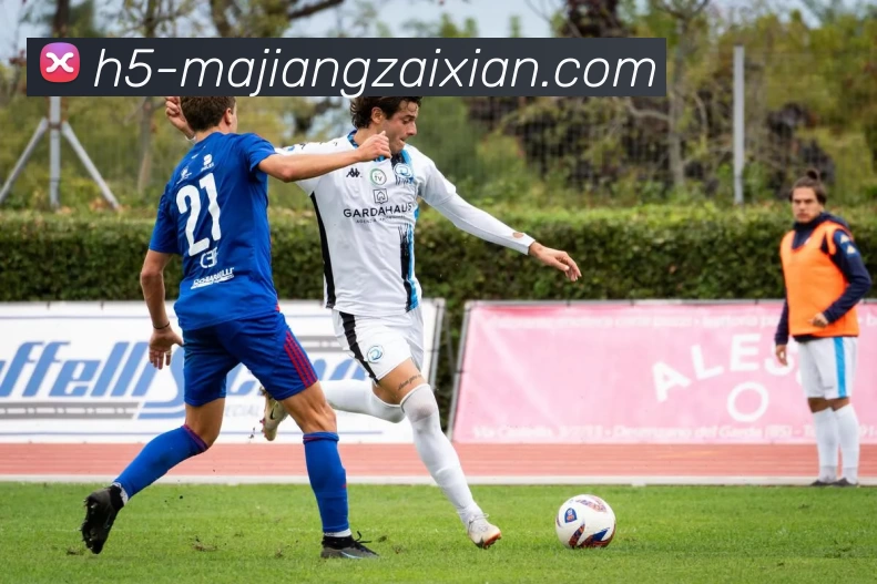 在线麻将APP 封面图