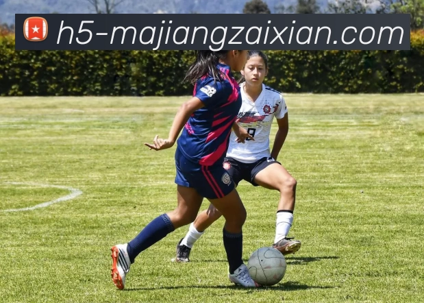 数据防护可视化